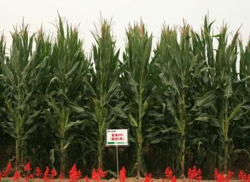 thumb_350_255_20151230031924372