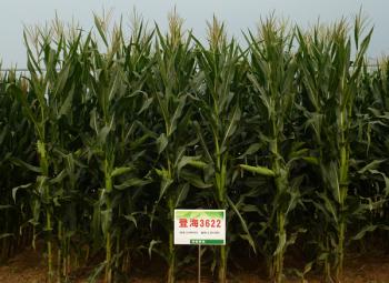 thumb_350_255_20160102114945712