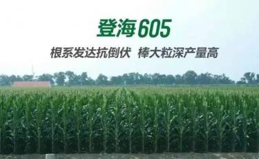 thumb_375_230_20161216092226663