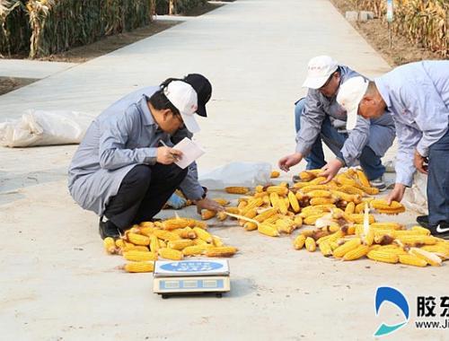 thumb_500_380_20181015035354107