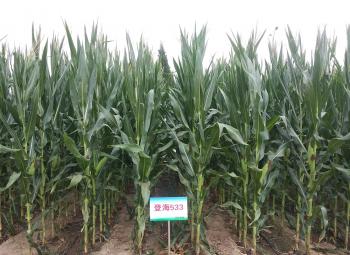 thumb_350_255_20200304101508578