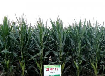 thumb_350_255_20200304102940860