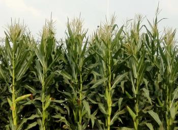 thumb_350_255_20200304104805638