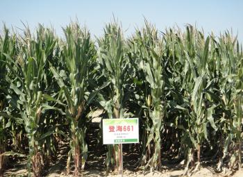 thumb_350_255_20200304104916844